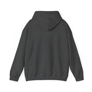 LD GTA Denver Hoodie