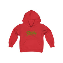 Load image into Gallery viewer, Copy of Youth Hoodie Gold Print