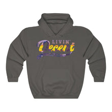 Load image into Gallery viewer, Unisex Hoodie Denver Skyline Print