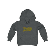 Load image into Gallery viewer, Copy of Youth Hoodie Gold Print