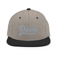 Load image into Gallery viewer, Snapback Hat w/ Grey Embroidery
