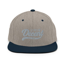 Load image into Gallery viewer, Snapback Hat w/ Grey Embroidery