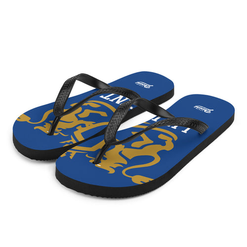 Flip-Flops