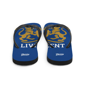 Flip-Flops