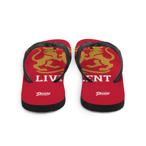 Flip-Flops