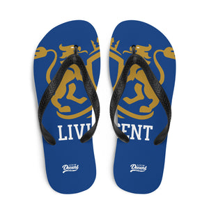 Flip-Flops
