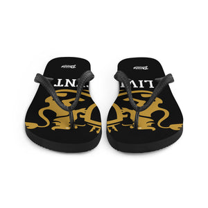 Flip-Flops