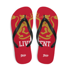Load image into Gallery viewer, Flip-Flops
