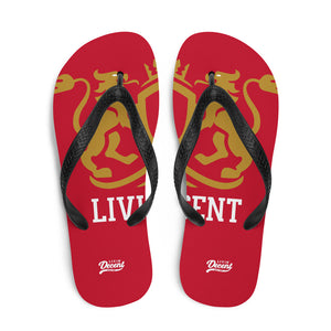Flip-Flops