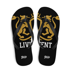 Flip-Flops