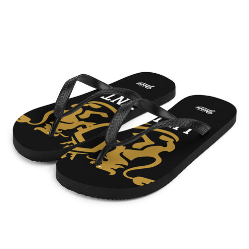 Flip-Flops