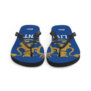 Flip-Flops