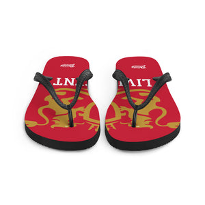 Flip-Flops
